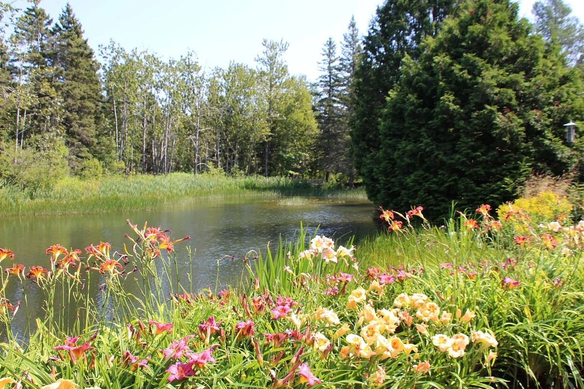 Jardins de Metis / Reford Gardens