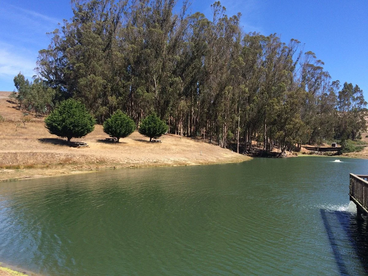 Hagemann Ranch Trout Fishing