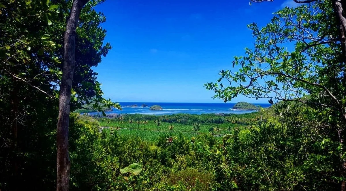 Mamiku Gardens