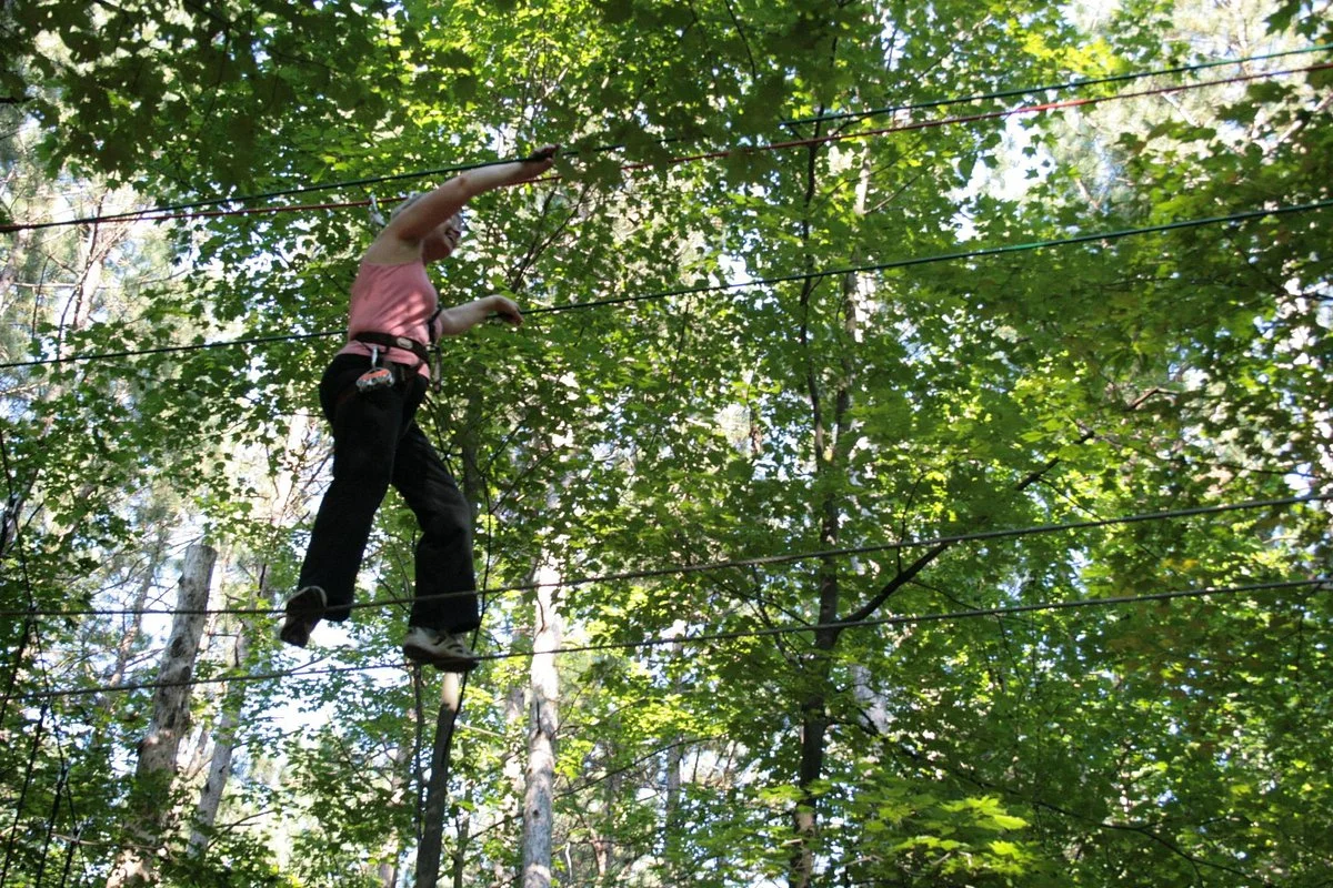 D'Arbre en Arbre