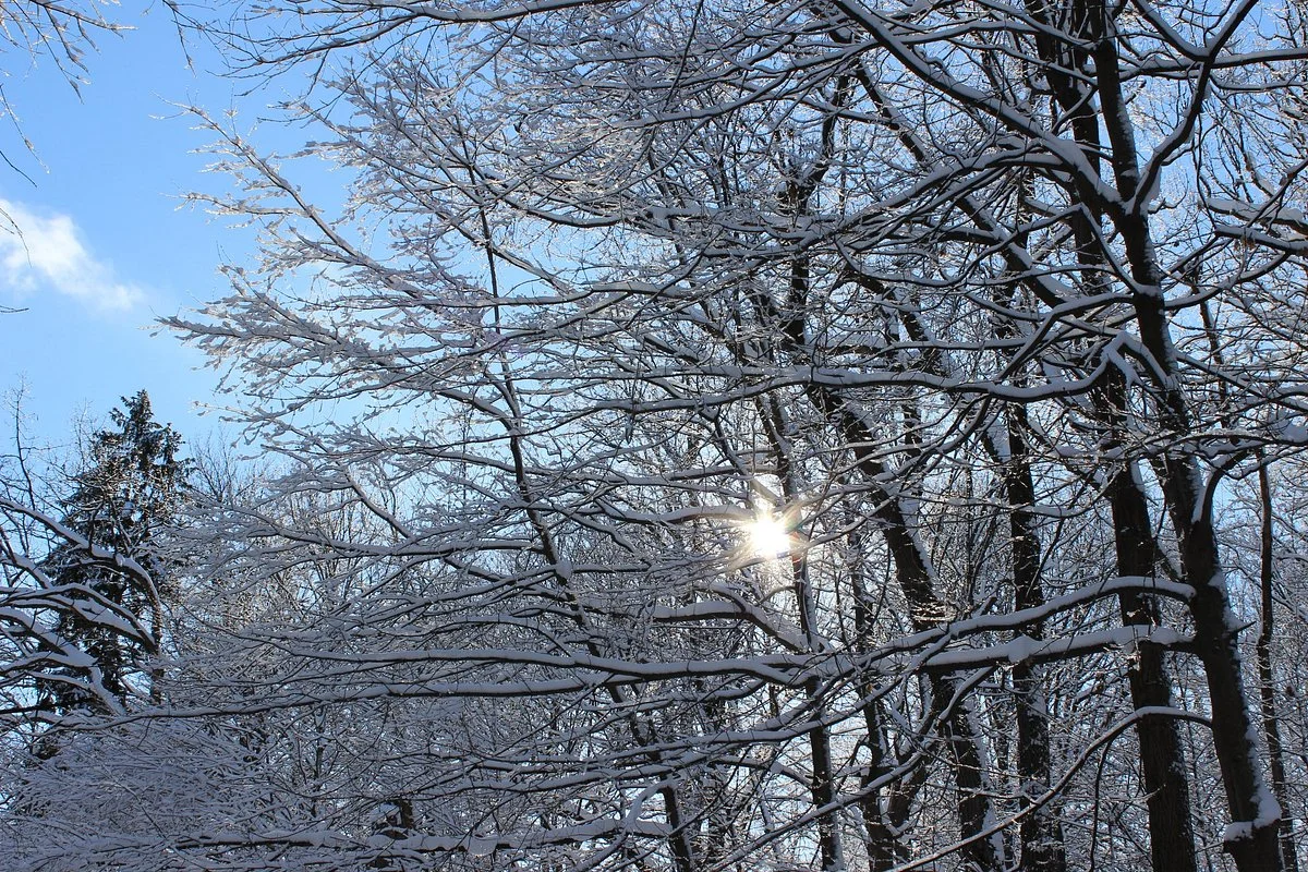 Owens Conservation Park