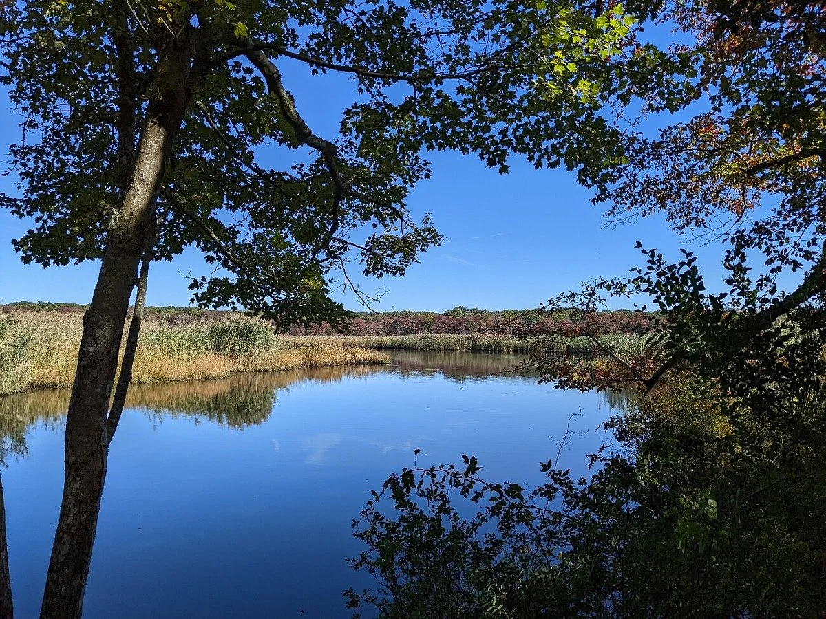 Wertheim National Wildlife Refuge