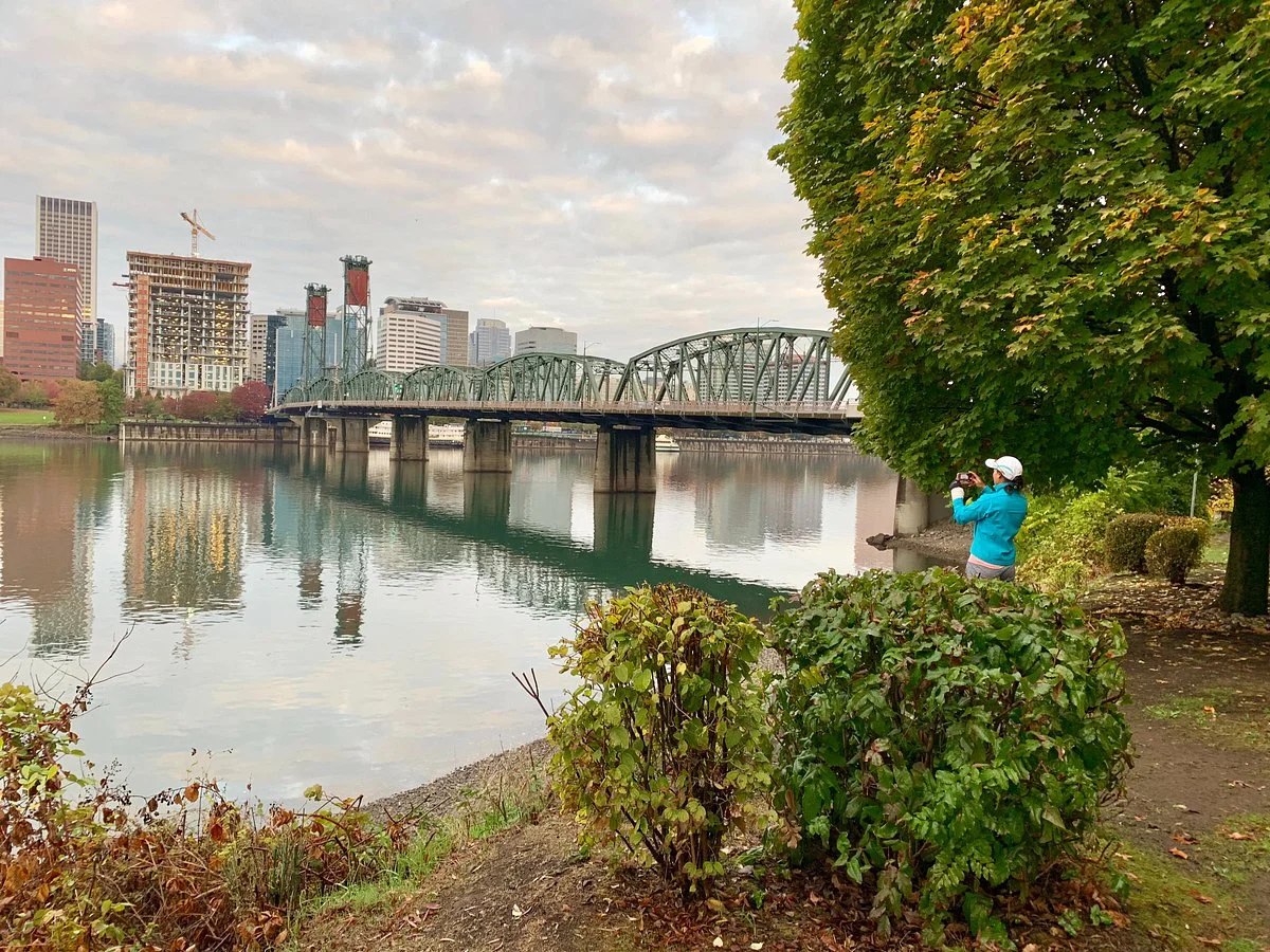 Willamette River Walkway