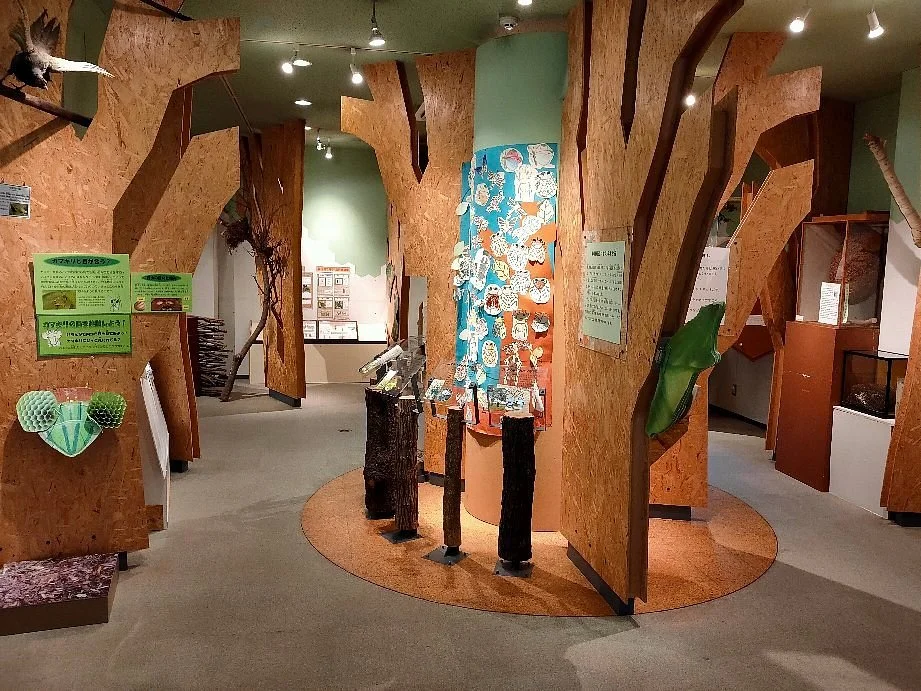 Saiko Natural Learning Center