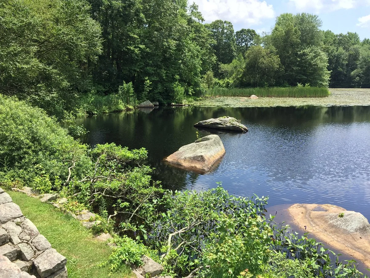 Connecticut College