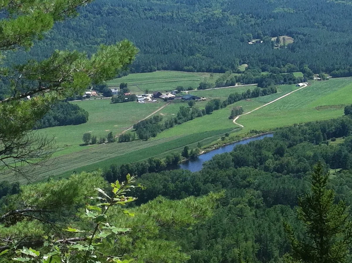 Mount Will Walking Trail