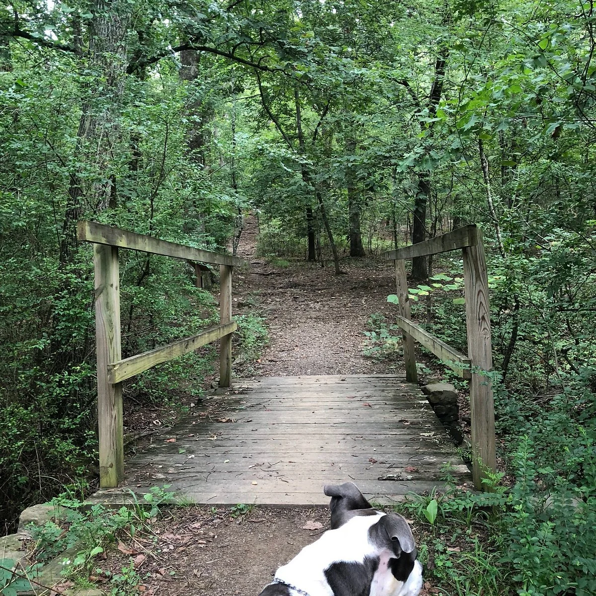 Allsopp Park