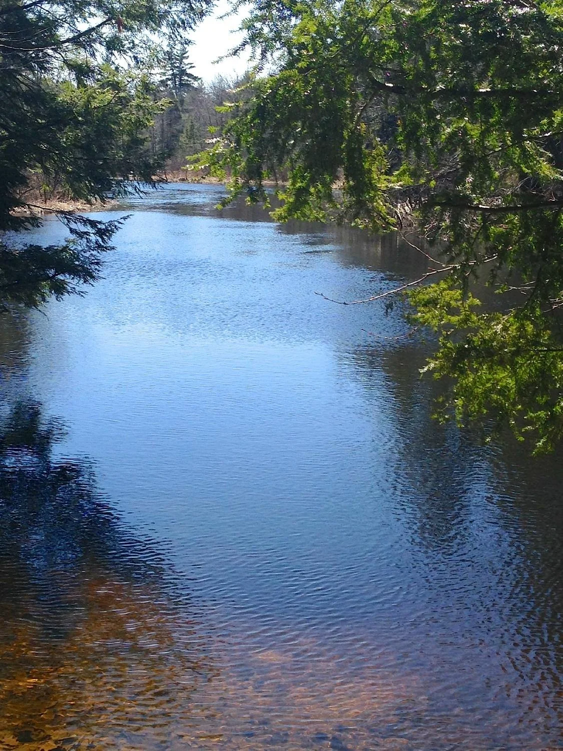 Phillips Exeter Trail