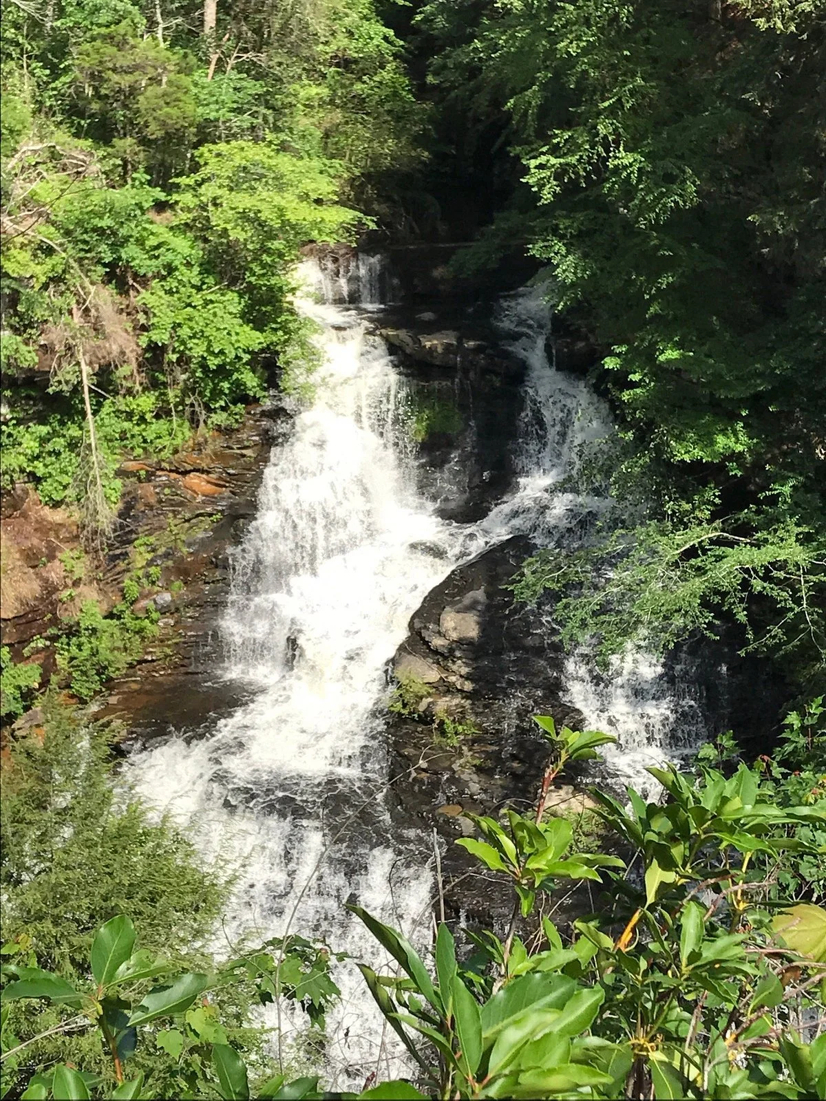 Pisgah Gorge Falls