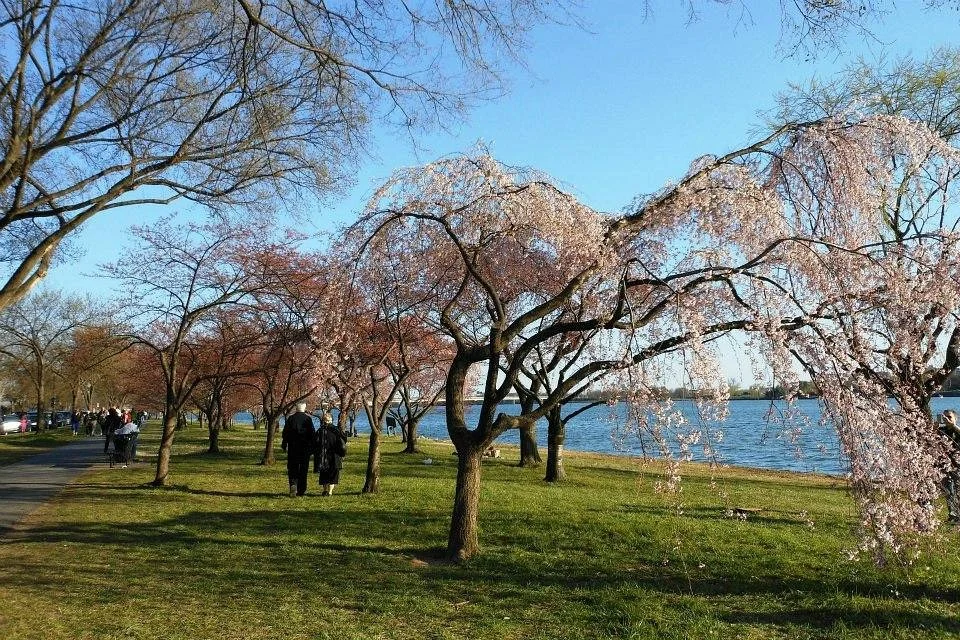 Potomac Park