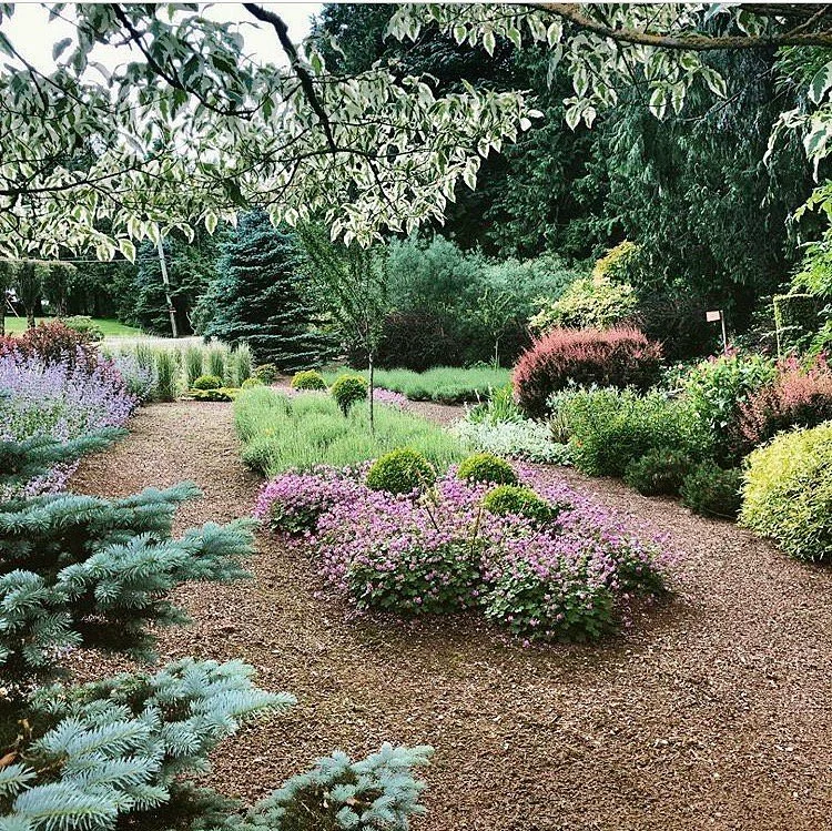 Tanglebank Gardens