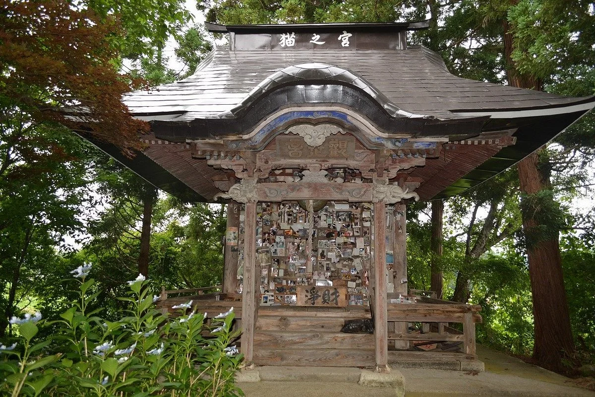 Cat's Shrine