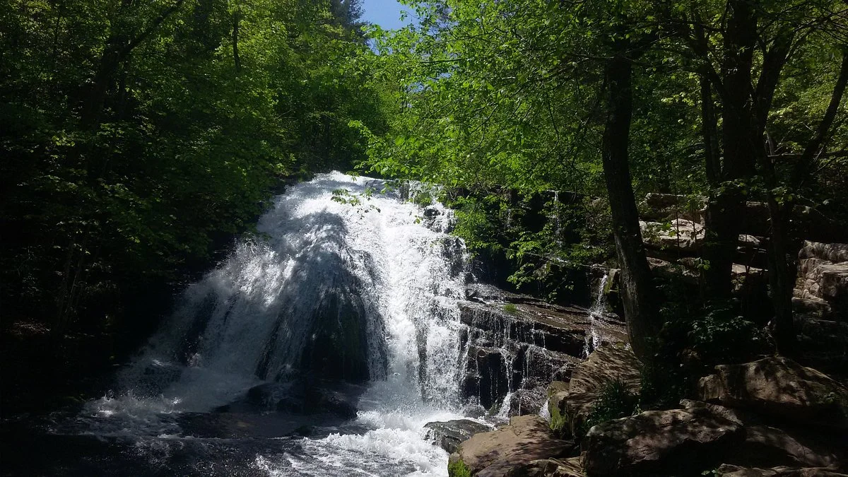Roaring Run Falls