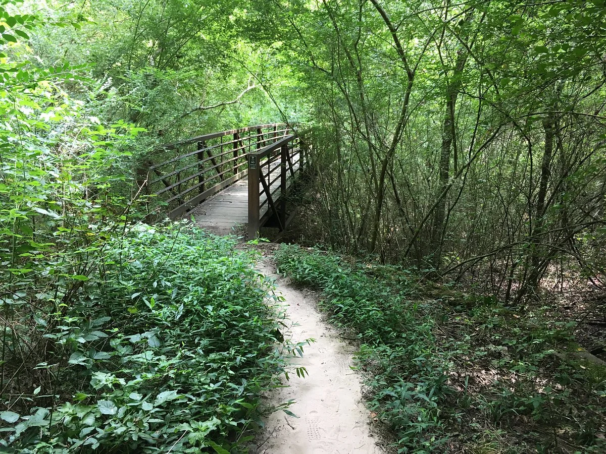 Bailey Woods Trail