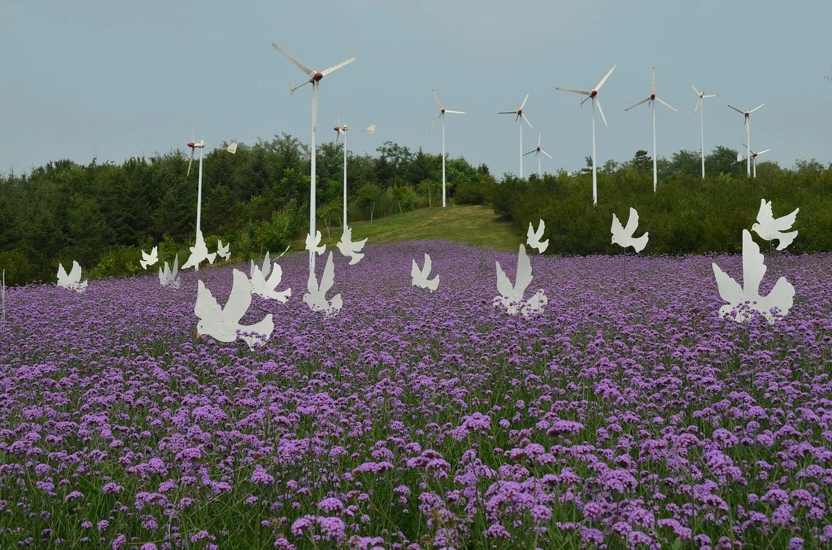 Shenyang Botanical Garden