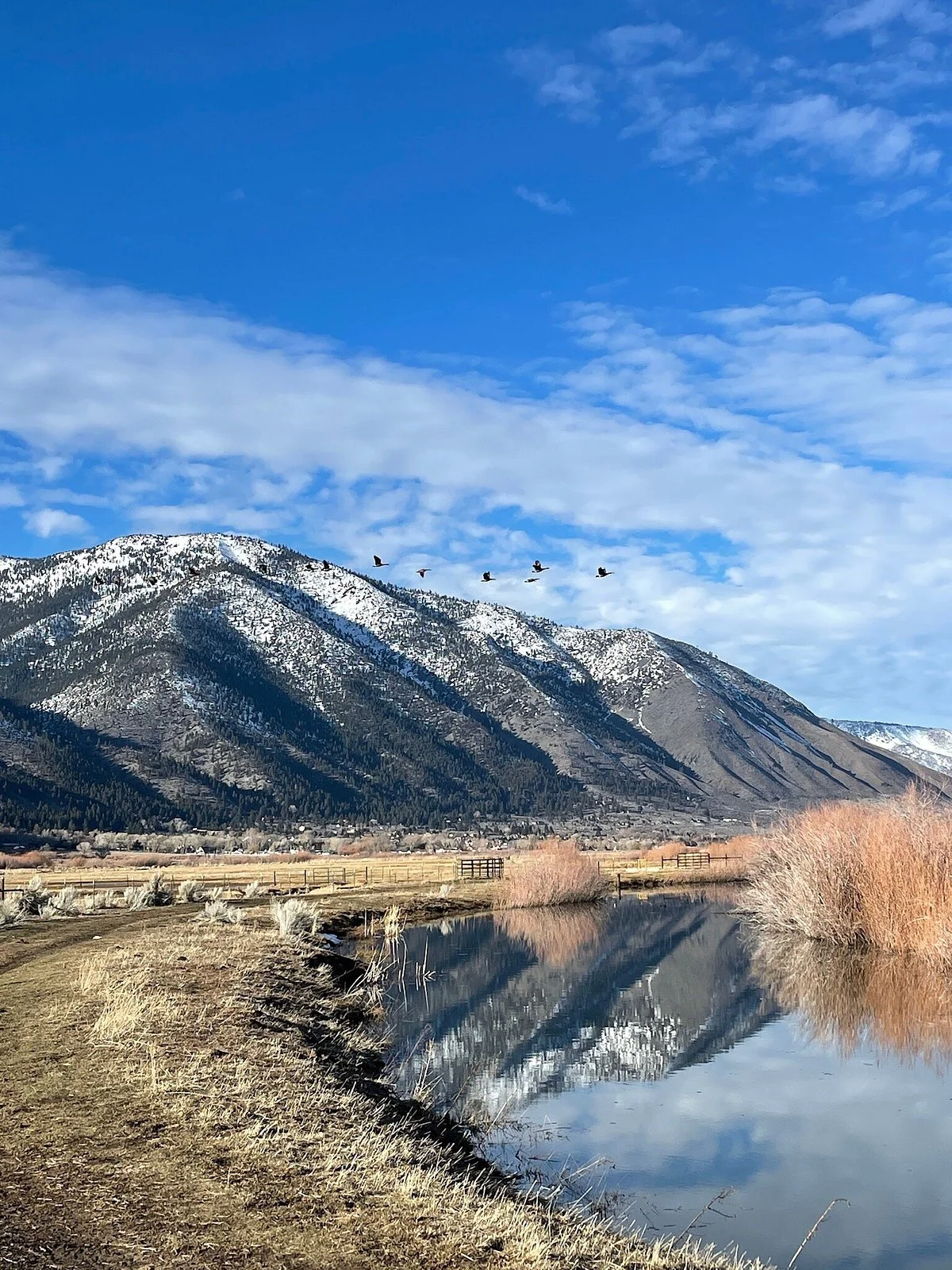 River Fork Ranch