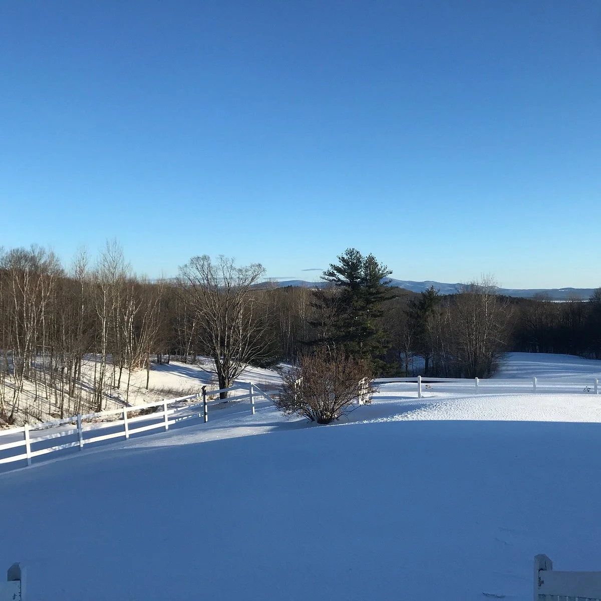 Stone Brook Hill Farm
