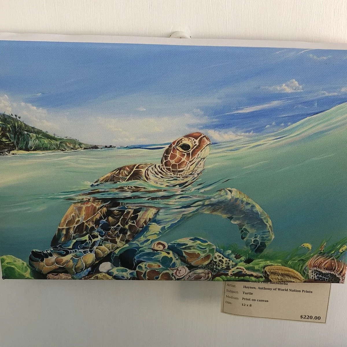 Gallery of Caribbean Art