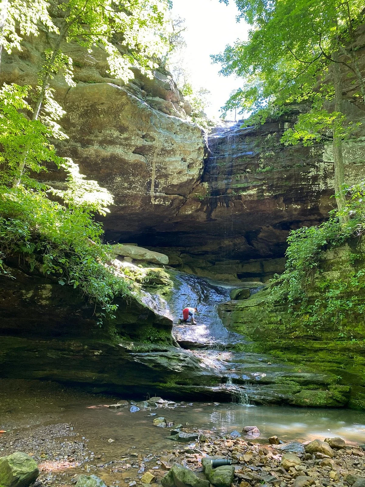 Ferne Clyffe State Park