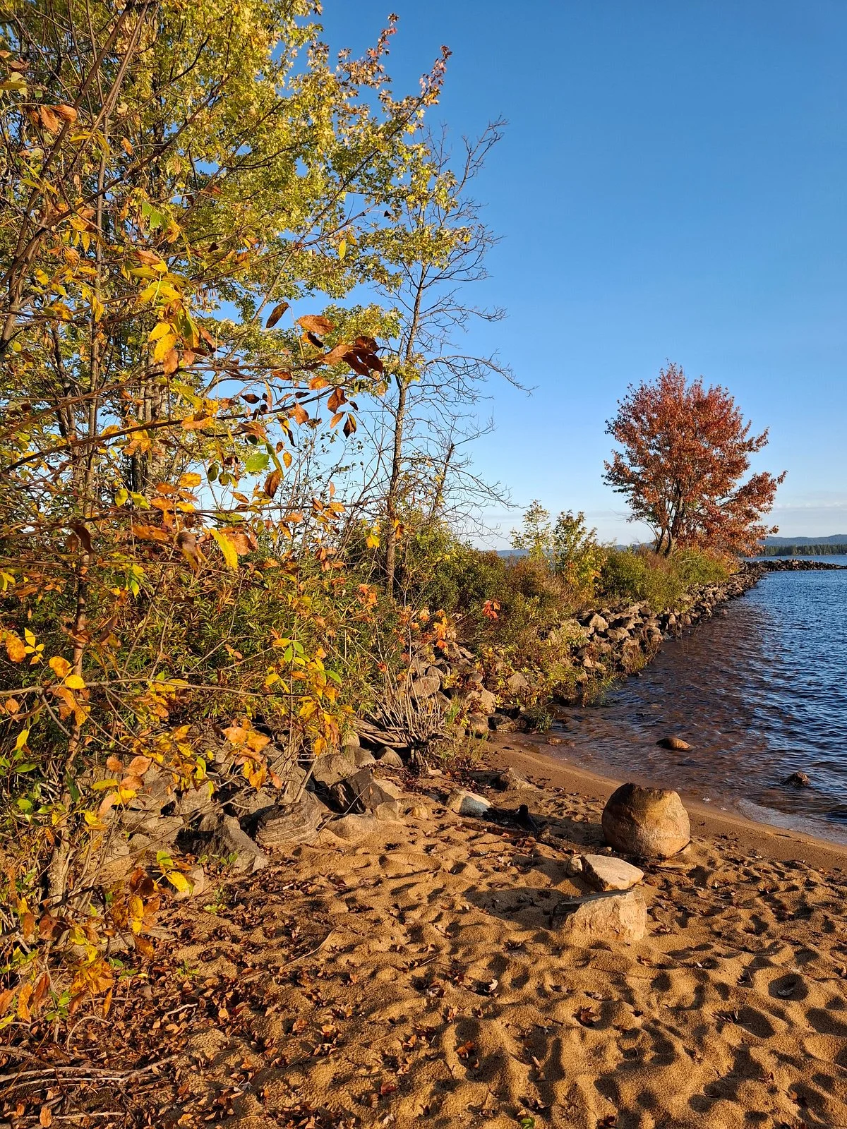 Petawawa Point Beach
