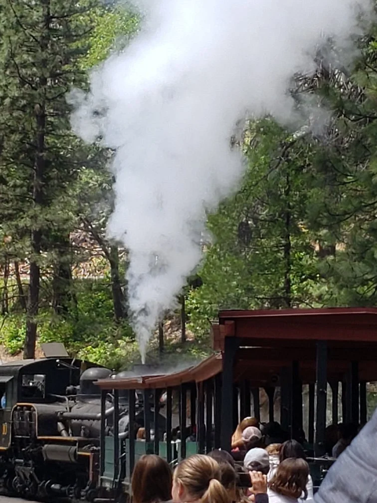 Yosemite Valley Railroad