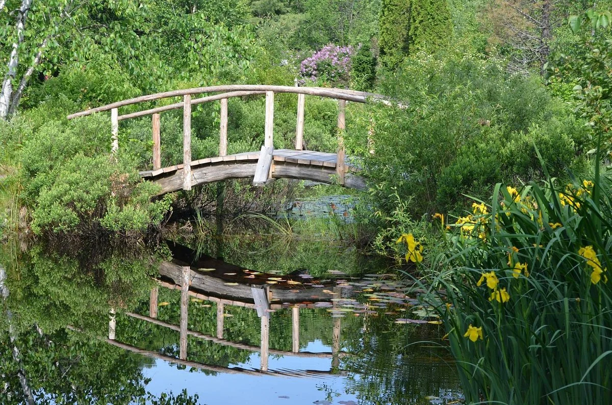 Adcocks' Woodland Gardens