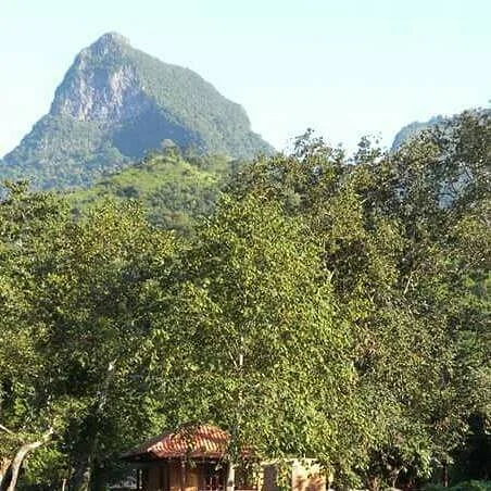 Parque Ecoturistico Huilotepetl