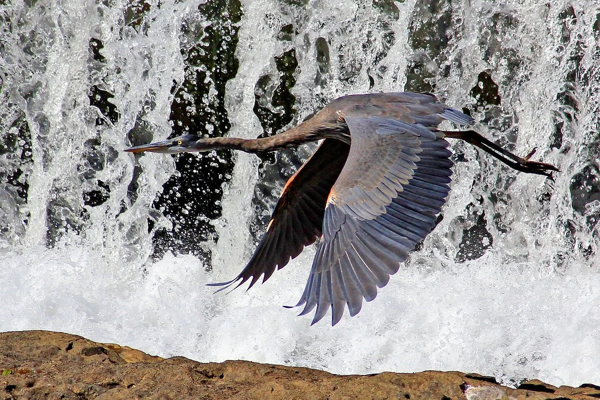 Susquehanna River Valley Visitors Bureau