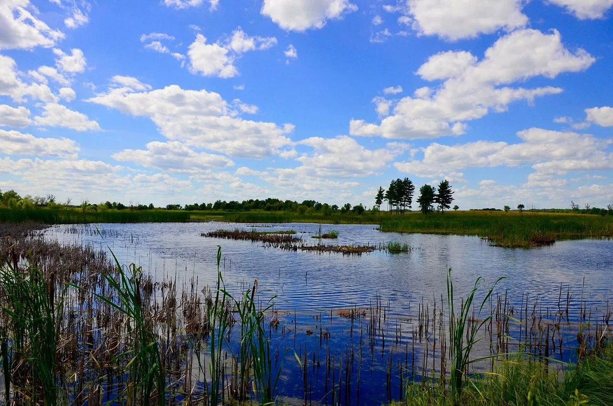 Sherburne National Wildlife Refuge