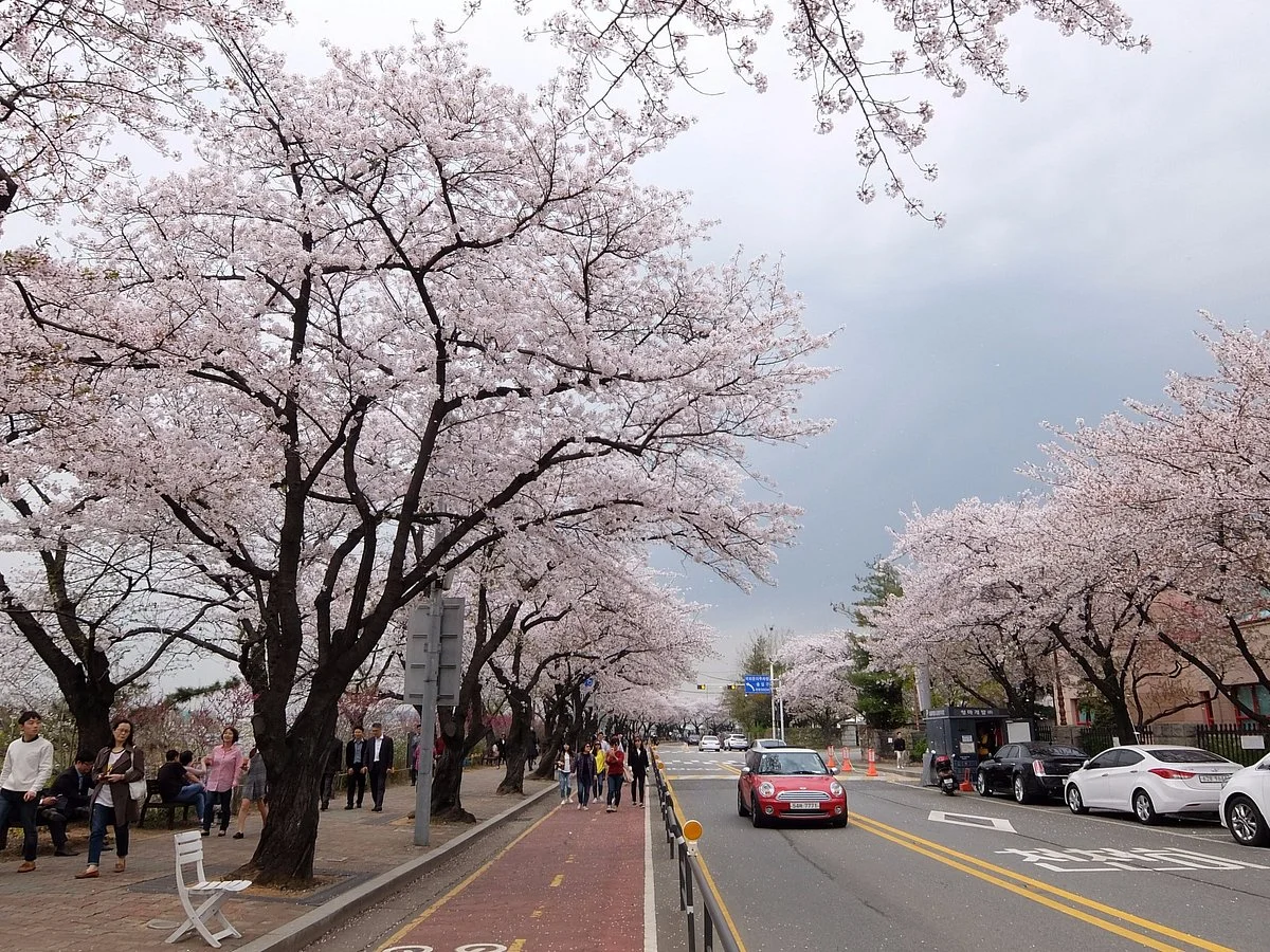 Yeouido Park