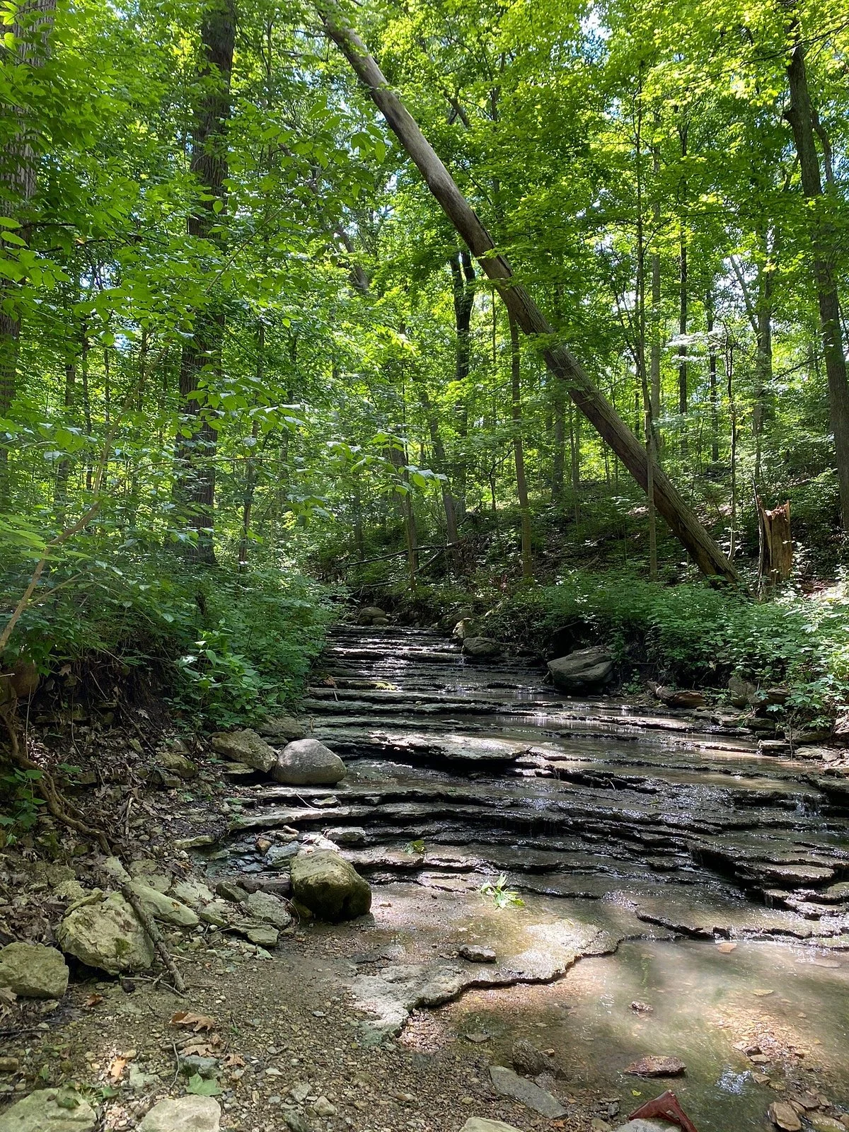Englewood Metro Park