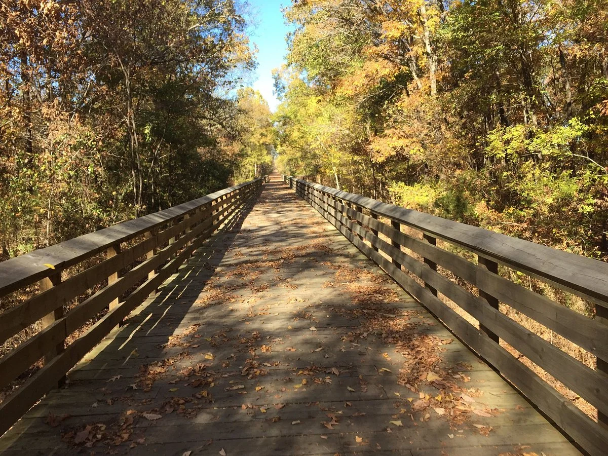 Tanglefoot Trail