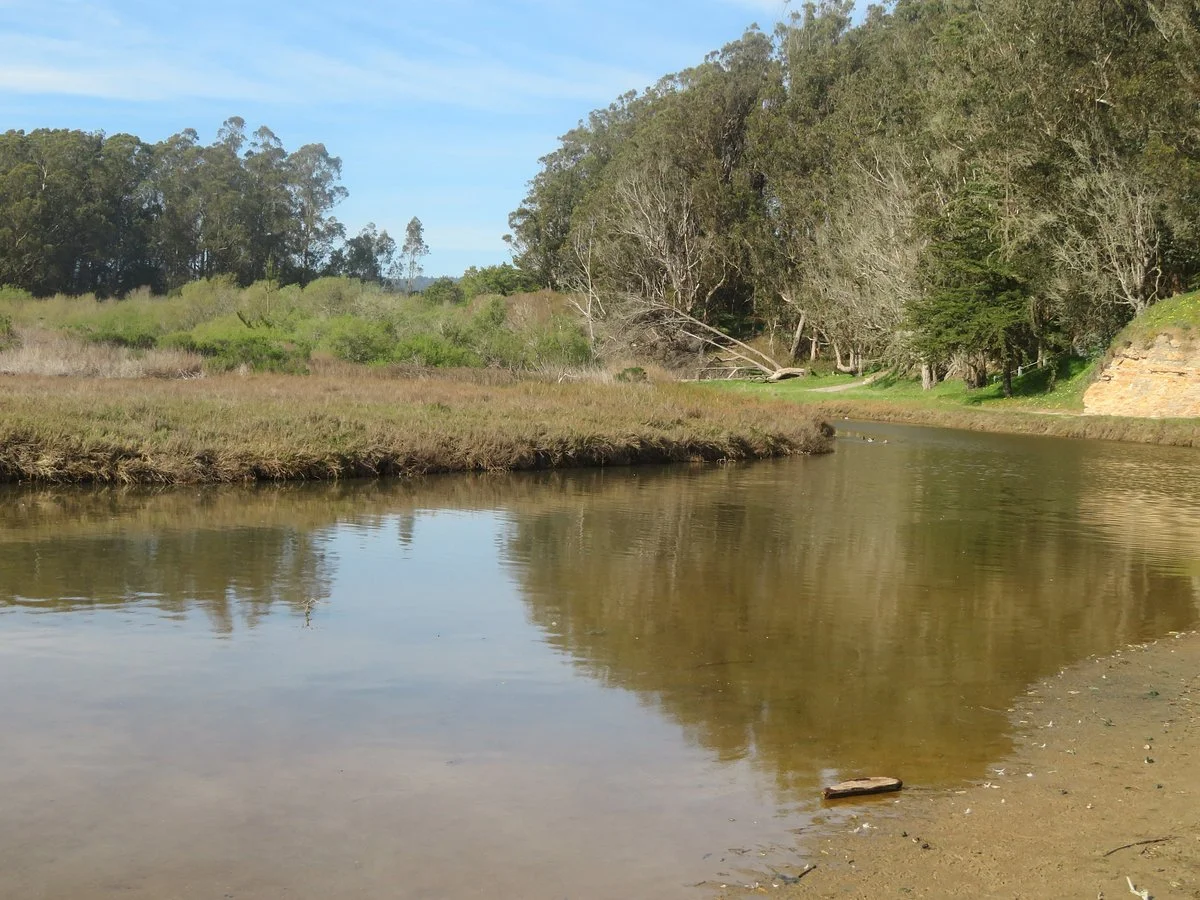 Moore Creek Wildlife Preserve