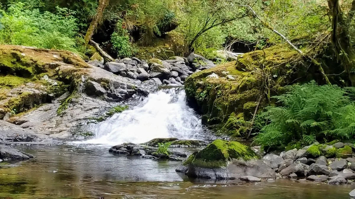 Sweet Creek Falls