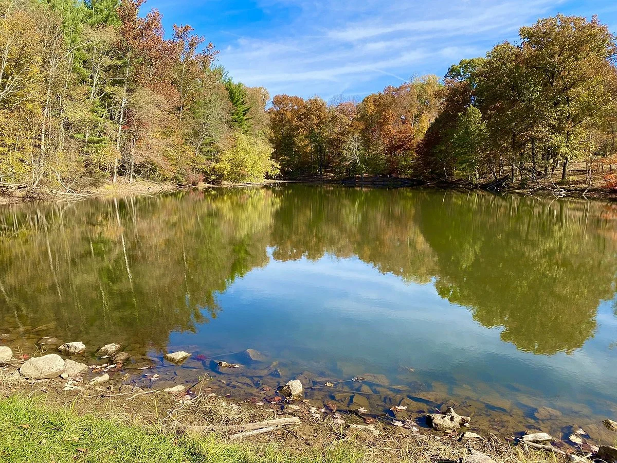 Morgan-Monroe State Forest