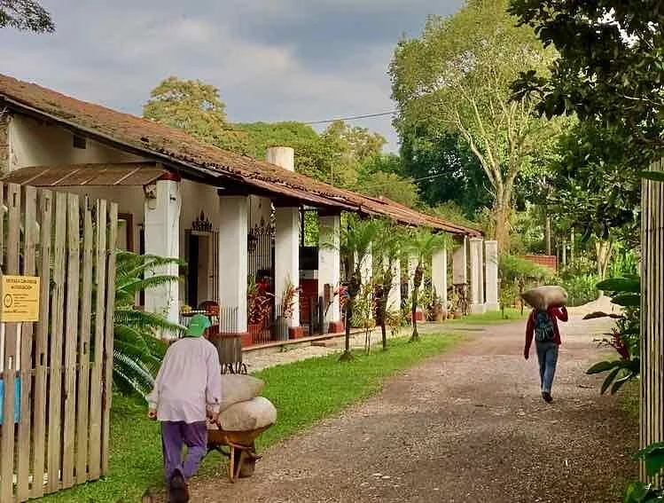 Cafetalera San Felipe