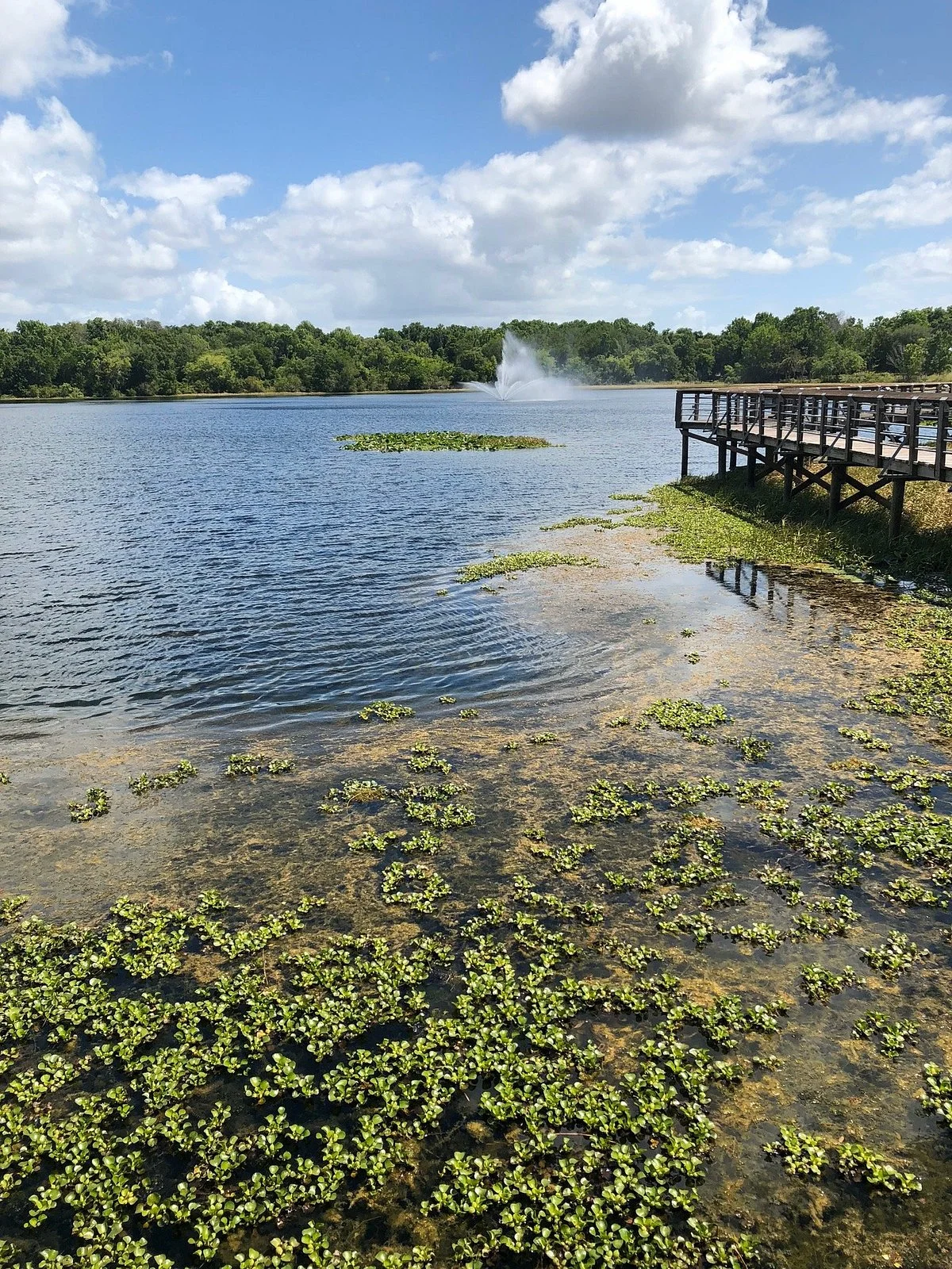 Cooter Pond Park