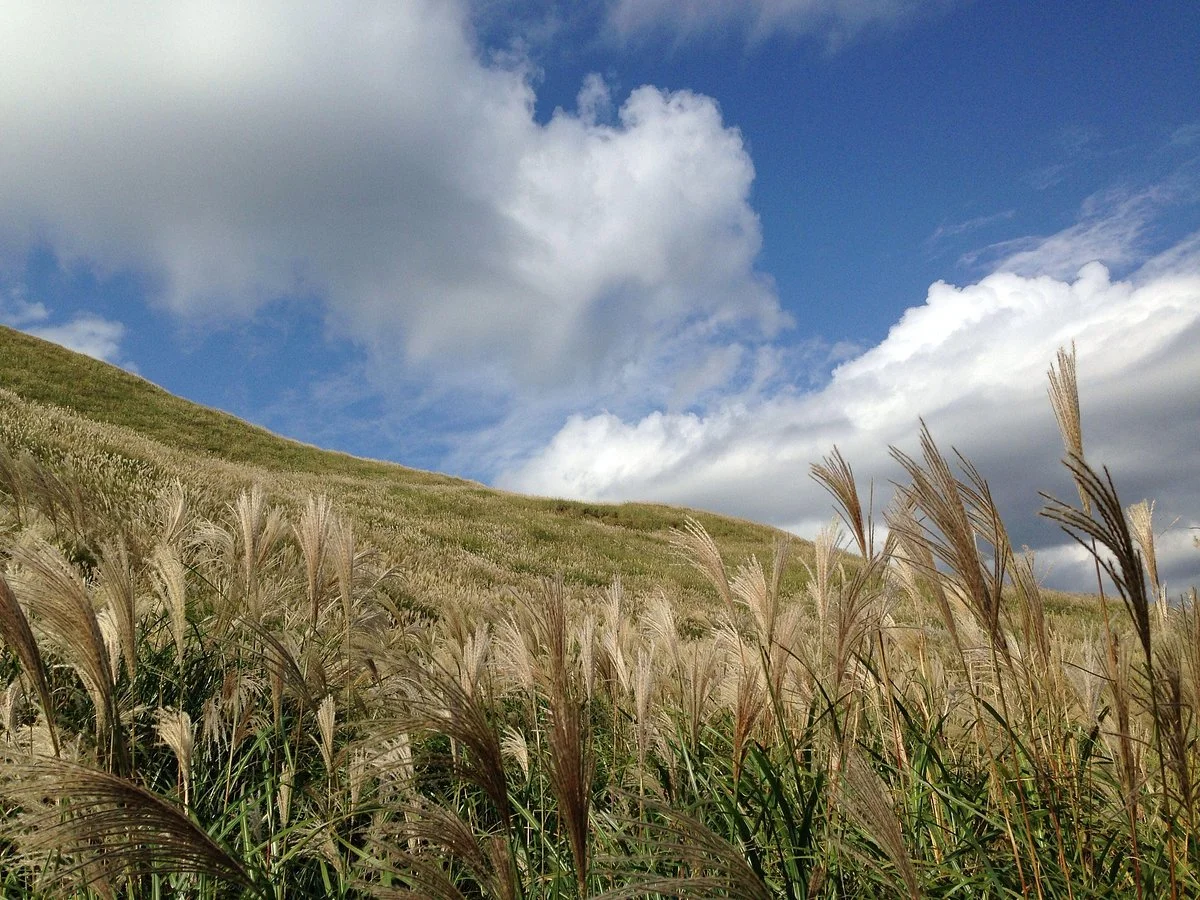 Inatori Hosono Kogen
