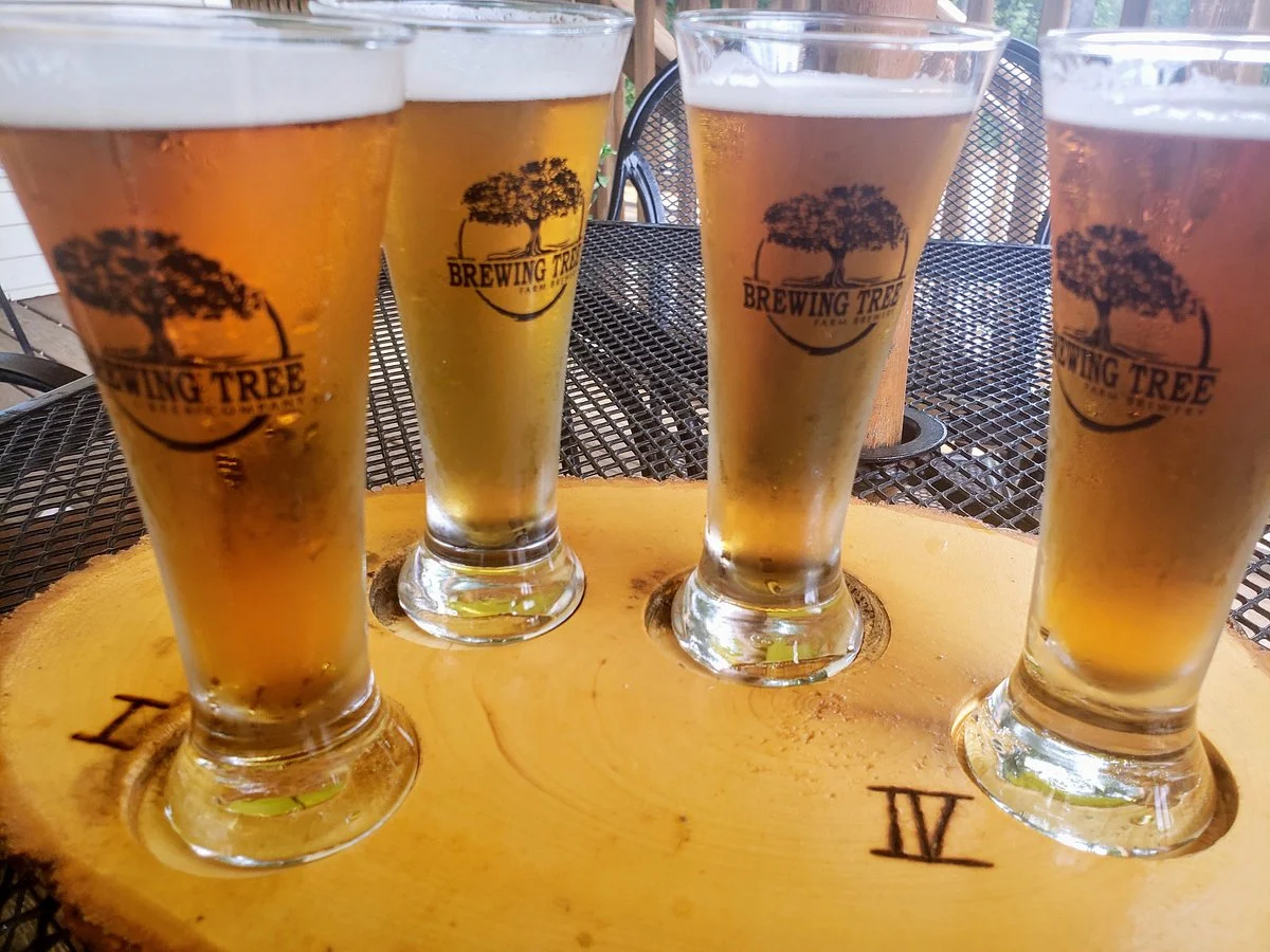 Brewing Tree Beer Company