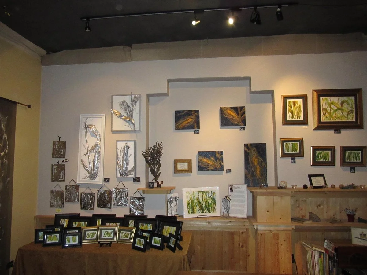Eaton Studio Gallery