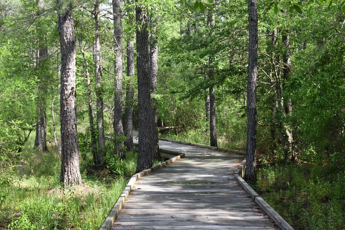 Big Thicket National Preserve