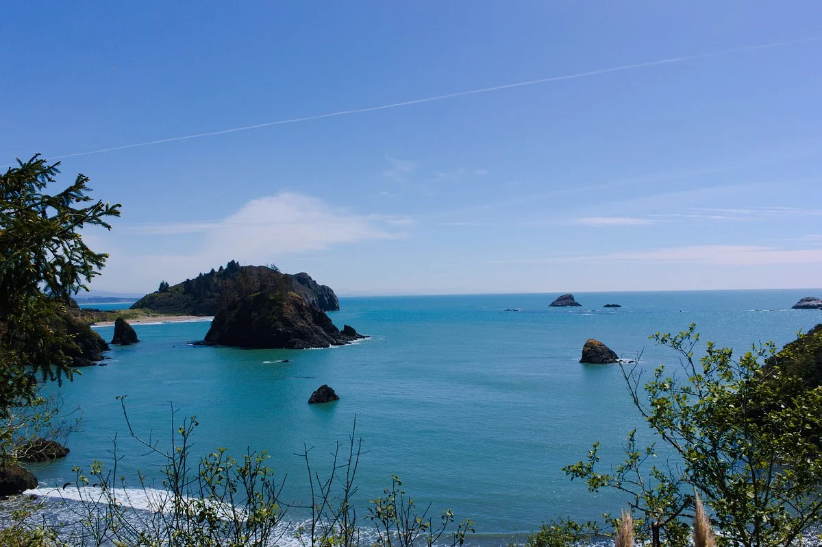 College Cove