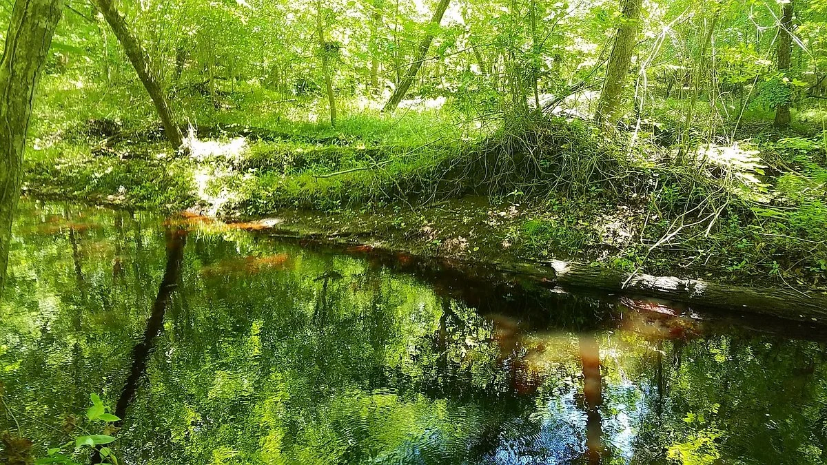Island Creek Trail