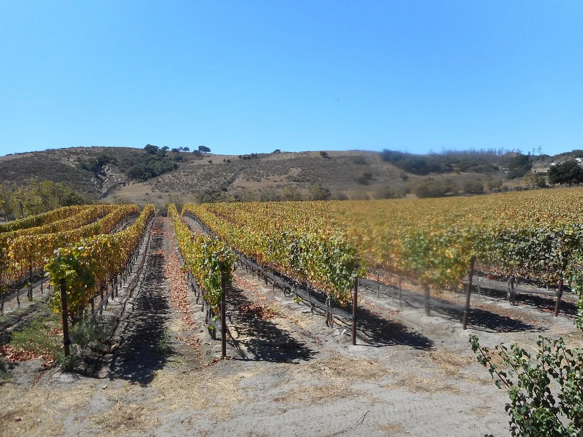 Foley Estates Vineyard & Winery