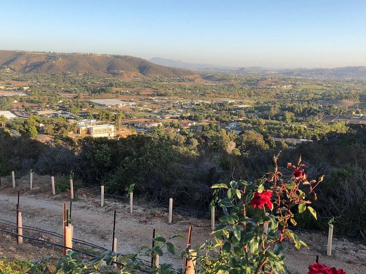 Sunshine Mountain Vineyard