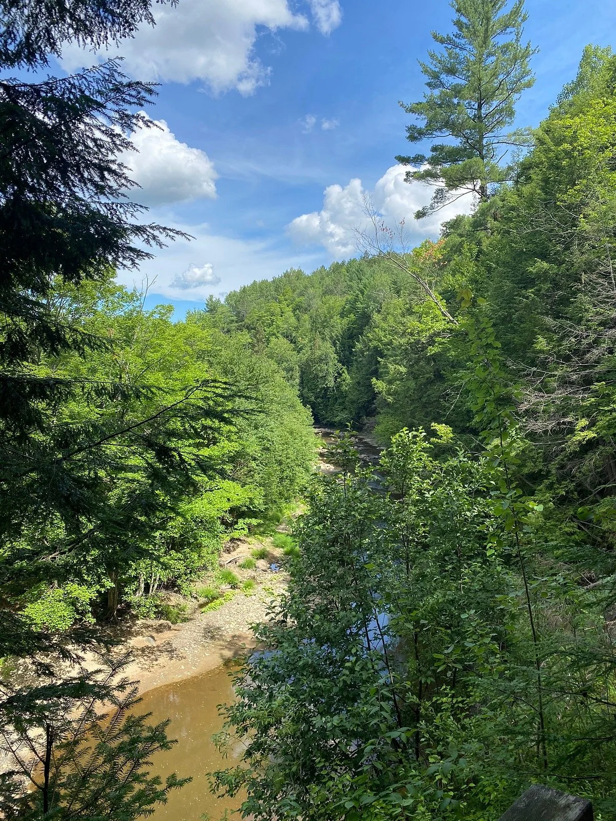 Parc régional de la Rivière Gentilly