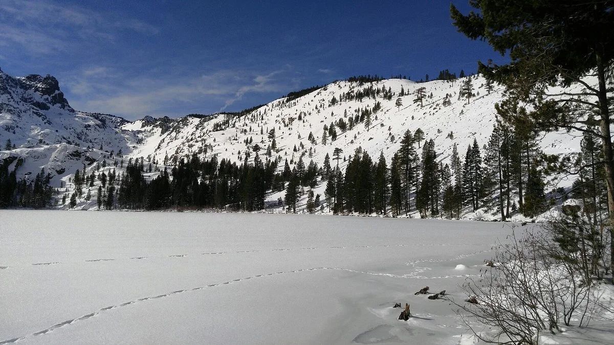 Explore! Sierra Touring Company, LLC