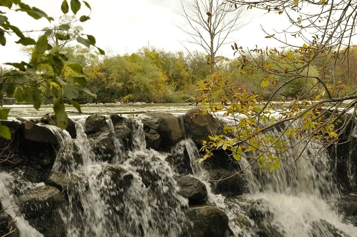 Whitnall Park