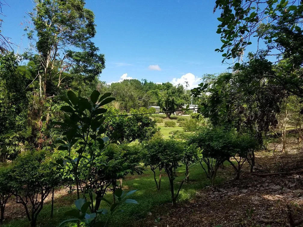 Tropical Agriculture Research Station