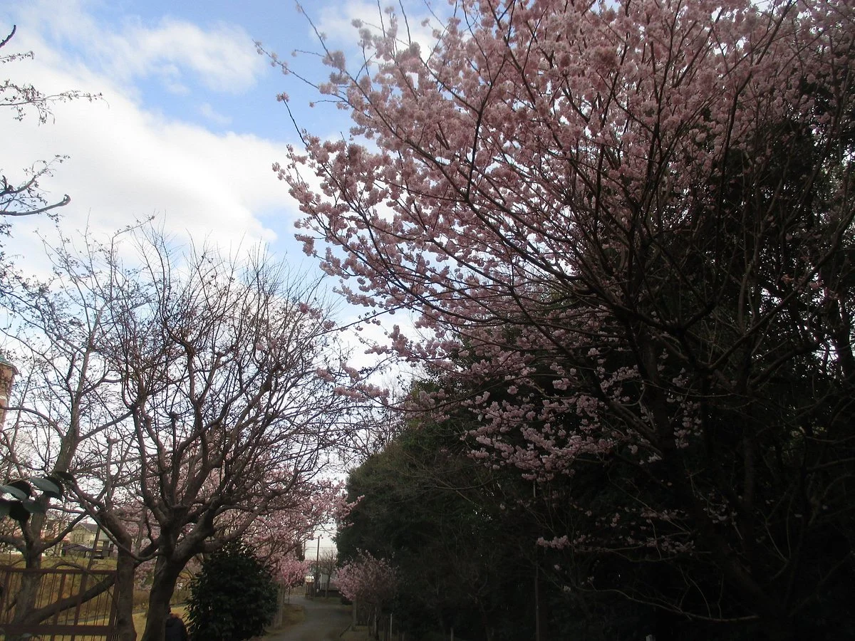 Shiroyama Park